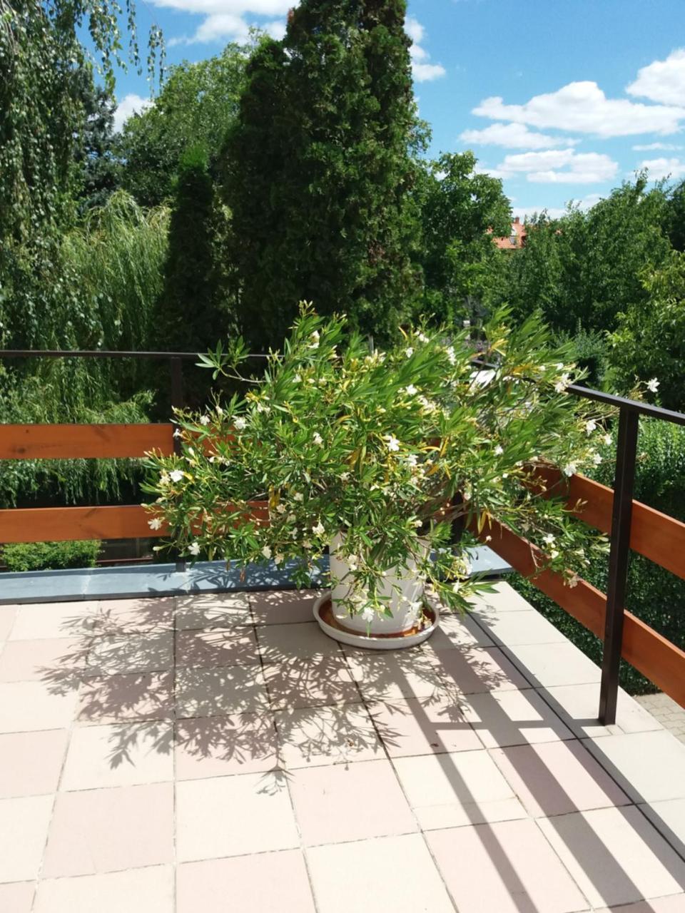 Tinka Haz Apartment Сиофок Екстериор снимка